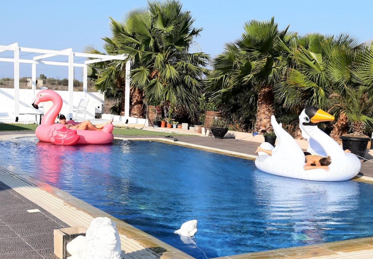 The Pervoli Studio - Pool - Close To Beach Larnaca Exteriör bild